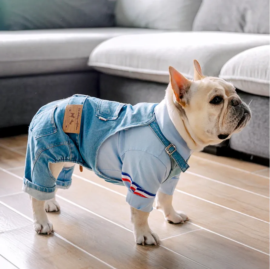 Jean Overalls Clothes Jeans Jumpsuit for French Bulldog (WS67)